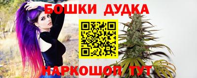 apvp Краснознаменск
